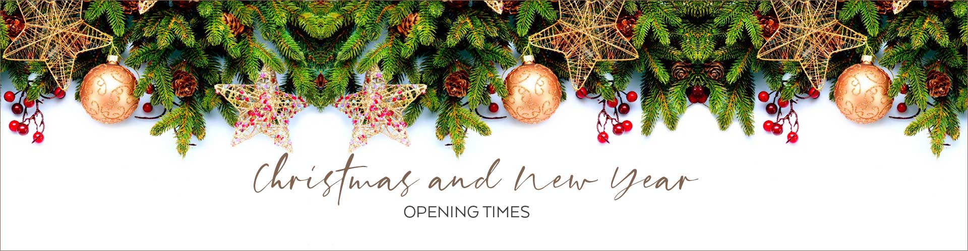 Christmas and New Year Opening Times 2